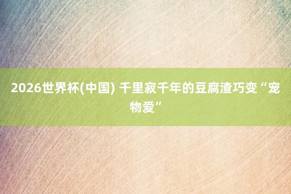 2026世界杯(中國(guó)) 千里寂千年的豆腐渣巧變“寵物愛(ài)”