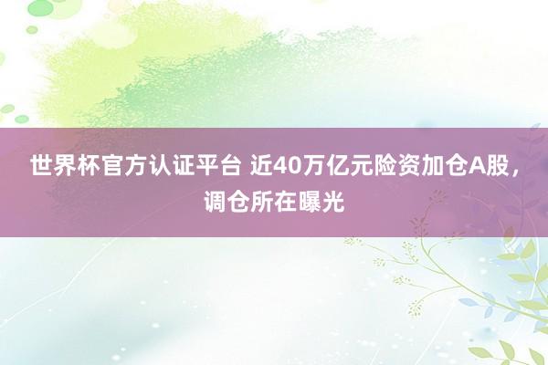 世界杯官方認(rèn)證平臺(tái) 近40萬(wàn)億元險(xiǎn)資加倉(cāng)A股，調(diào)倉(cāng)所在曝光