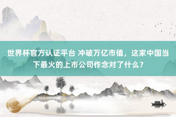 世界杯官方認證平臺 沖破萬億市值，這家中國當(dāng)下最火的上市公司作念對了什么？