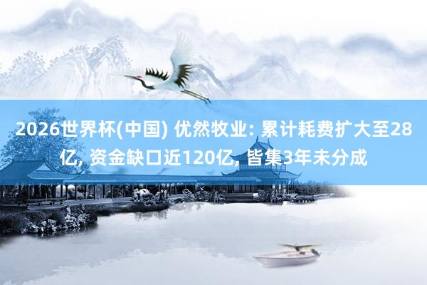 2026世界杯(中國) 優然牧業: 累計耗費擴大至28億, 資金缺口近120億, 皆集3年未分成