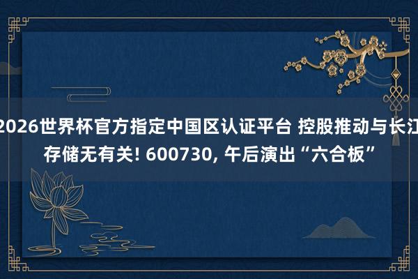 2026世界杯官方指定中國(guó)區(qū)認(rèn)證平臺(tái) 控股推動(dòng)與長(zhǎng)江存儲(chǔ)無(wú)有關(guān)! 600730, 午后演出“六合板”