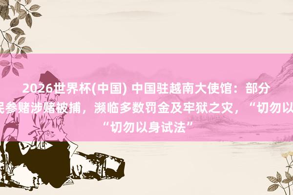 2026世界杯(中國) 中國駐越南大使館：部分在越公民參賭涉賭被捕，瀕臨多數(shù)罰金及牢獄之災，“切勿以身試法”