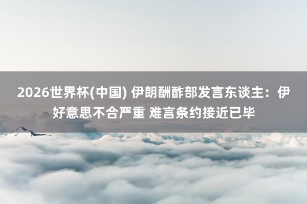 2026世界杯(中國) 伊朗酬酢部發(fā)言東談主：伊好意思不合嚴重 難言條約接近已畢