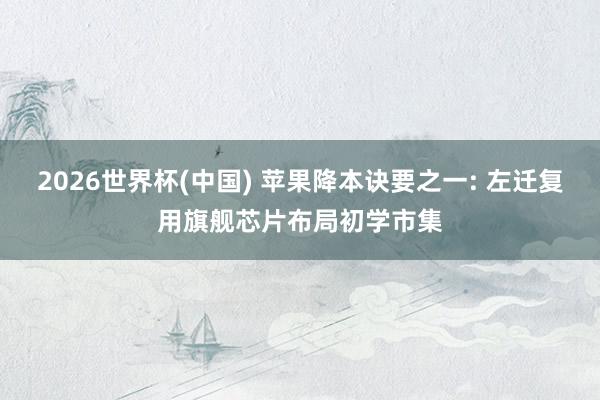 2026世界杯(中國) 蘋果降本訣要之一: 左遷復(fù)用旗艦芯片布局初學(xué)市集
