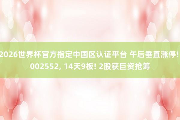 2026世界杯官方指定中國(guó)區(qū)認(rèn)證平臺(tái) 午后垂直漲停! 002552, 14天9板! 2股獲巨資搶籌
