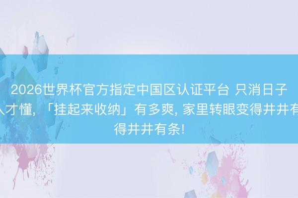 2026世界杯官方指定中國區認證平臺 只消日子潛入才懂, 「掛起來收納」有多爽, 家里轉眼變得井井有條!