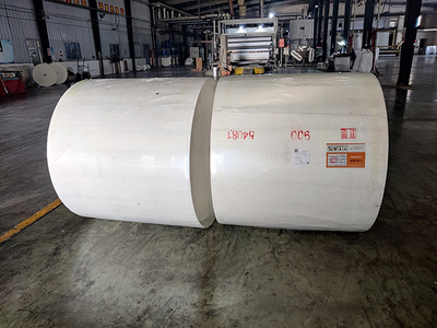 長纖聚脂胎得到快速發展是必然的趨勢