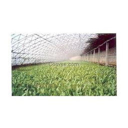 優(yōu)質(zhì)大棚膜廠家直銷——山東青州恒豐聚酯胎大棚膜