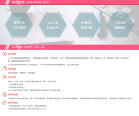 企業(yè)網(wǎng)站制作與開發(fā) 打造高效品牌形象的三種關(guān)鍵路徑